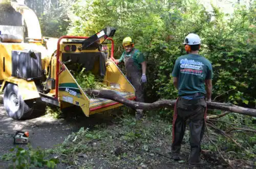 tree services Colorado